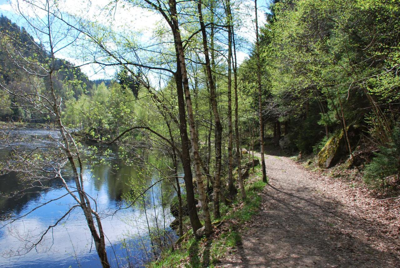 Mandalselva Laksehytter Marnardal Rum bild
