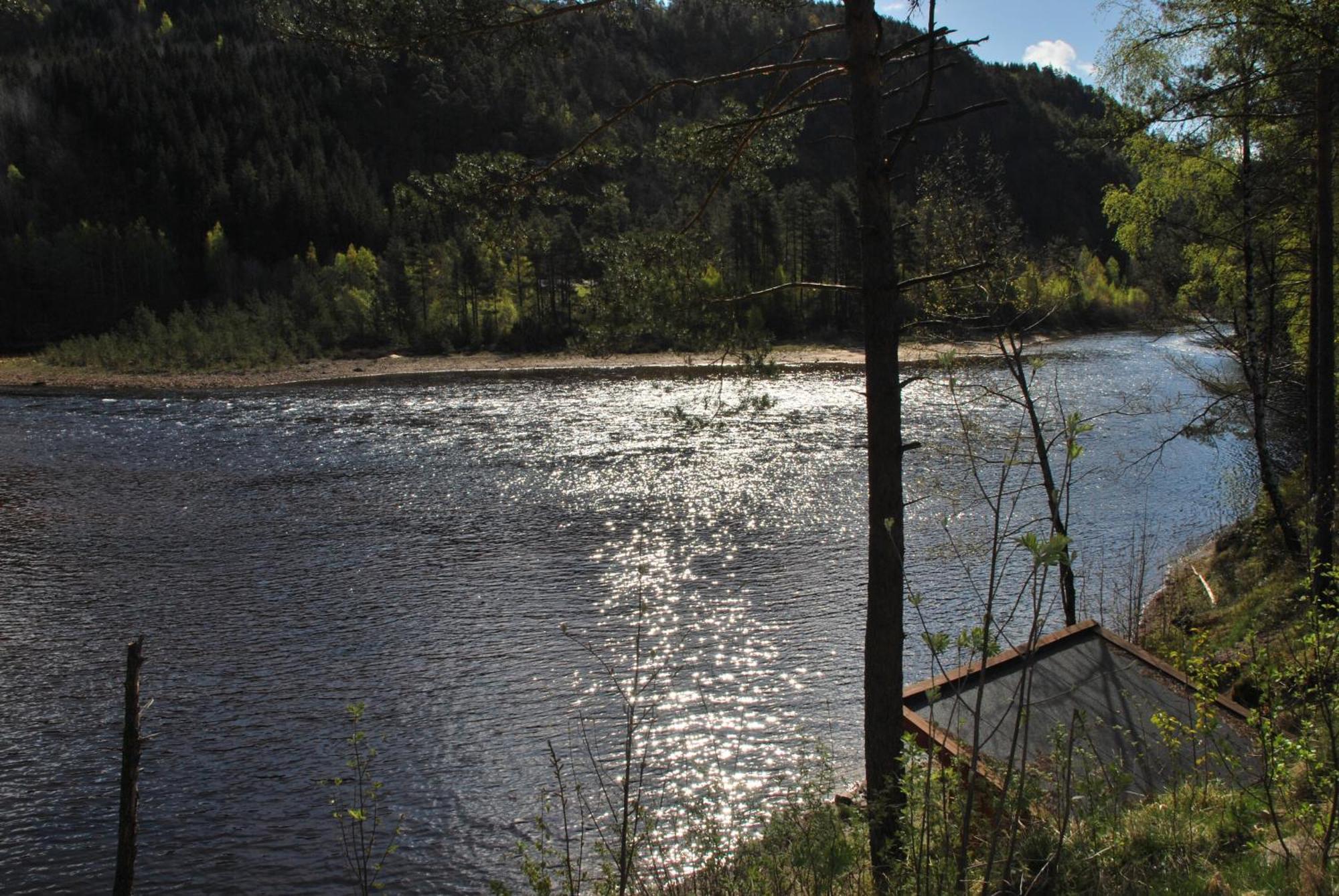 Mandalselva Laksehytter Marnardal Exteriör bild